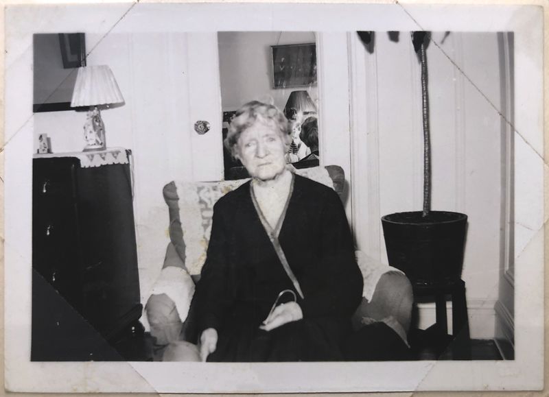 File:Kitty delhi sm IMG 4840.jpg