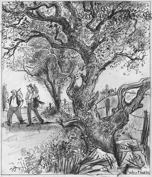 File:Wortmanbindles4 14 46 copy.jpg