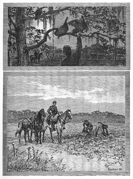 File:Marching thru GA foraging.jpg